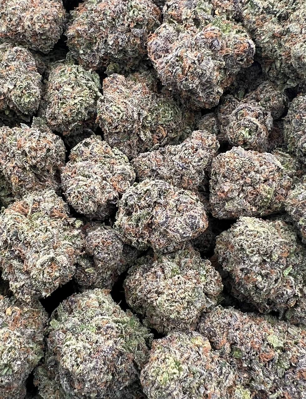 Gasso Coins strain image