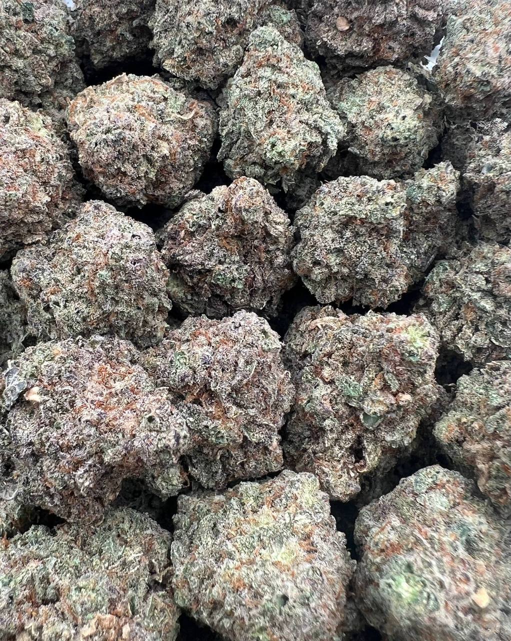 Mac and Cheese strain image