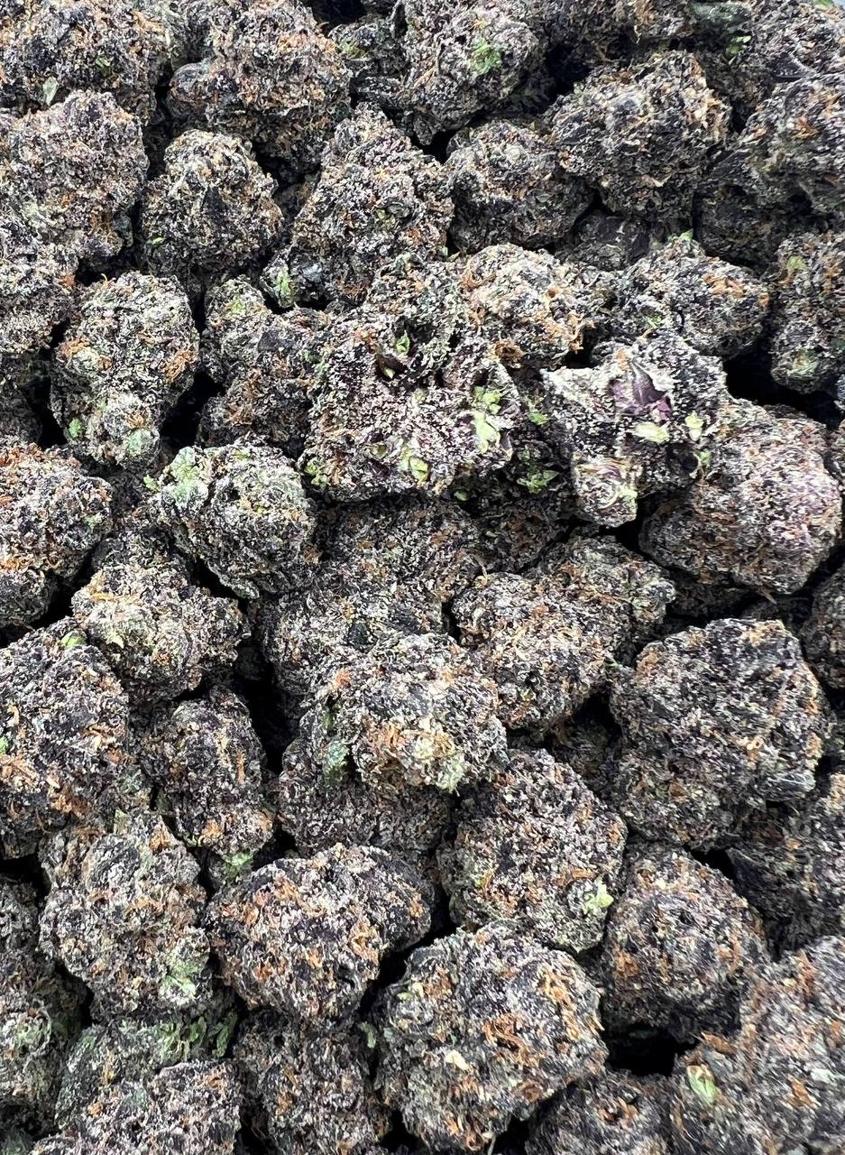 Blackcherry Leopard strain image