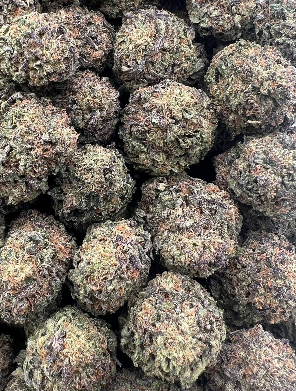 Blue Haze strain image