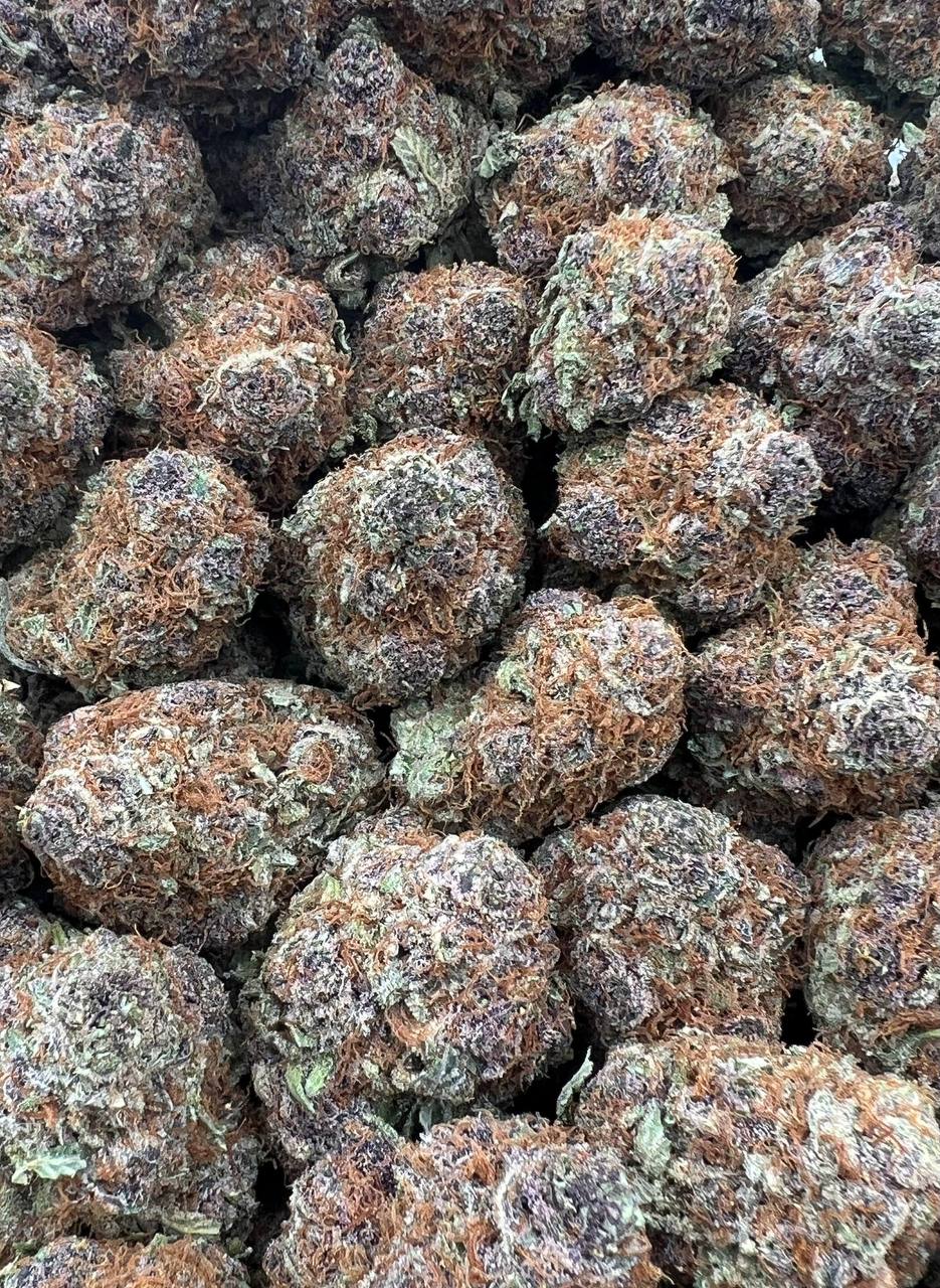 Trop Cherry Grapez strain image